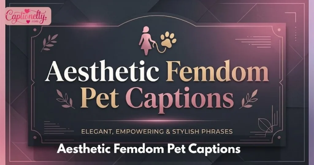 Aesthetic Femdom Pet Captions