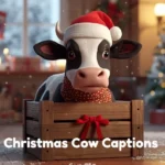 Christmas Cow Captions