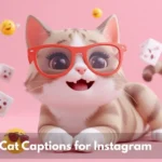 Cat Captions For Instagram