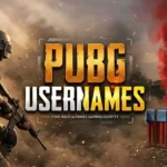 Pubg Usernames