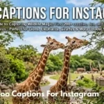 Zoo Captions For Instagram